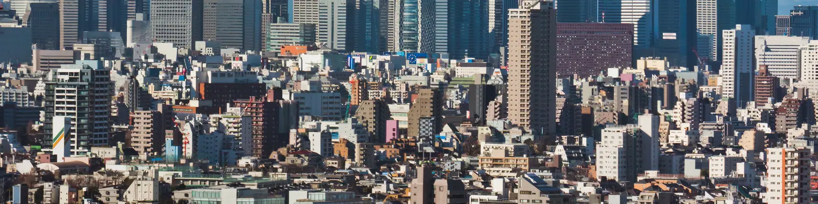 Shinjuku skyscrapers with Mount Fuji behind, Tokyo, Japan